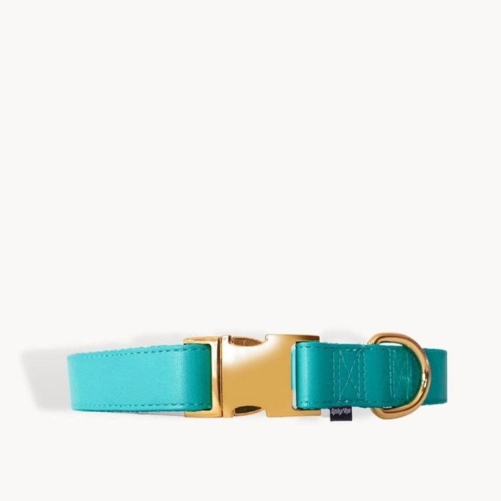 Vegan Leather Teal Dog Collar Sz S NWT